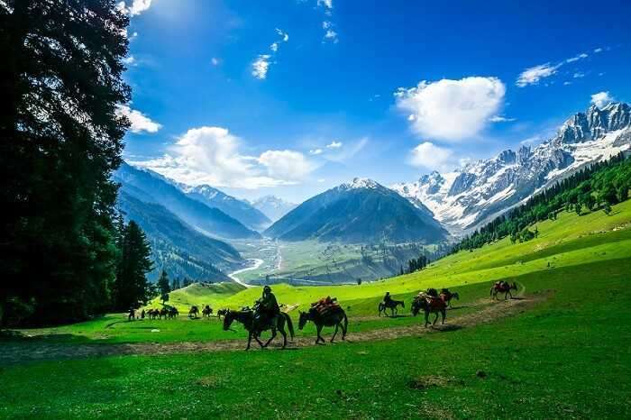 Kashmir Valley Experience Srinagar Gulmarg and Pahalgam